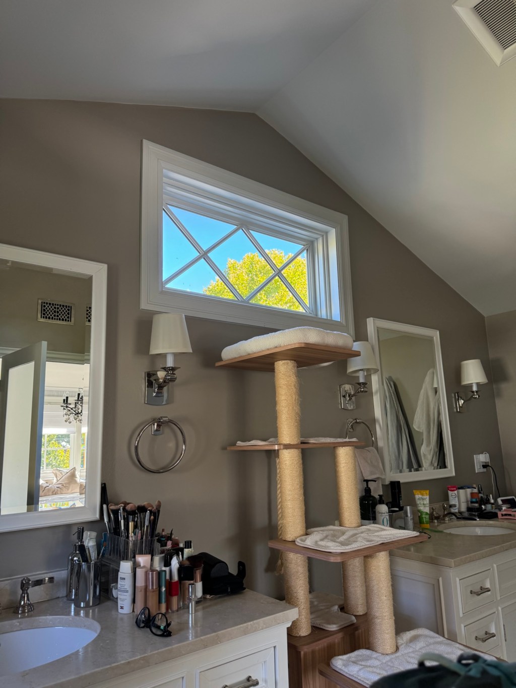 The Tree Outside My&nbsp;Window